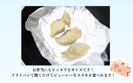 スズキ 天日干し スズキ切身 干物 合計30枚