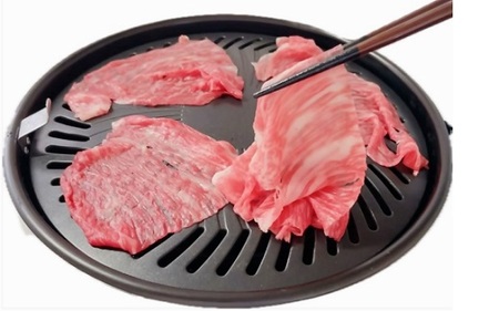 松阪牛うす切り焼肉（シルクロース）500ｇ 牛肉 焼肉【3-175】