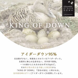 羽毛布団 ダブル 1枚 (ブルー) アイダーダックダウン 羽毛布団