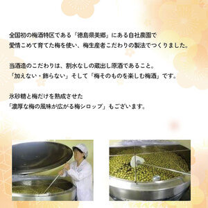 【ごちそうアワード2025 飲料部門 銀賞】 梅酒 治三郎 720ml 超辛口 うめしゅ 【梅酒】