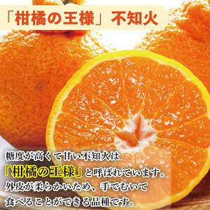 【不知火】 約 4kg から 5kg（L玉18個 または 2L玉 12個) 不知火 みかん しらぬい
