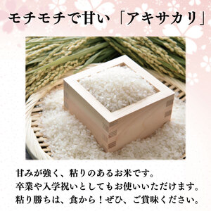 入学米 300g×1袋 2kg ×1袋 ポストカード セット 米