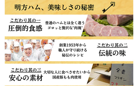 明方ハム Aセット 計810g 【JAめぐみの農業協同組合】 ソーセージ ハム フランクフルト フランク おつまみ 惣菜 晩酌 ディナー 弁当 ビール ワイン 酒のお供 食べ比べ 詰め合わせ 肉 食品 国産 豚肉 岐阜県 坂祝町 さかほぎ F6M-017
