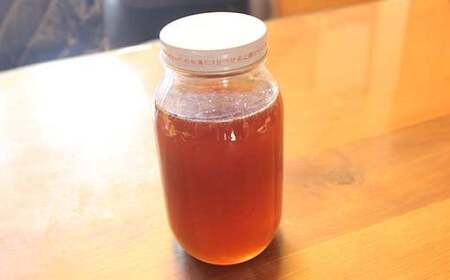 岐阜県産 日本ミツバチのハチミツ 1kg  ハチミツ 蜂蜜 調味料 はちみつ 加工品 食品 岐阜県 坂祝町 F6M-071