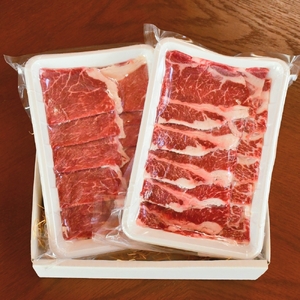 【えりも短角牛】焼肉上カルビセット【er007-014】上カルビ ヘルシーウデ 2種盛 焼き肉 焼肉セット 上カルビセット カルビ 食べ比べ 赤身 ヘルシー 希少 品種 短角牛 ブランド牛 お肉 肉 国産牛 BBQ バーベキュー 冷凍 農家直送 国産 北海道産 北海道 えりも町