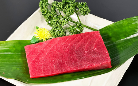 創業以来130年 三崎港老舗問屋「西松」厳選 南鮪400g M040-004 冷凍 マグロ