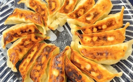 ＜数量限定＞まぐろ問屋の原料にとことんこだわった 三崎港直送めかじき餃子 M040-006 冷凍 マグロ 加工品