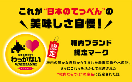 稚内牛乳 牛乳＆のむヨーグルト 詰め合わせ セット【配送不可地域：離島・沖縄県】