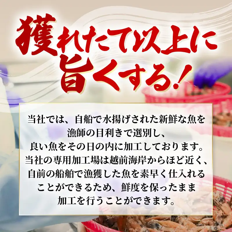 お試し 越前町産 天然 甘えび素干し ほたるいか素干し 楽しみ 食べ比べ  セット 50g × 各1パック【福井県 海鮮 えび エビ 海老 素干し あまえび いか ホタルイカ イカ 肴 お取り寄せ グルメ 宅飲み 冷蔵 小分け 珍味】 [e15-a051]