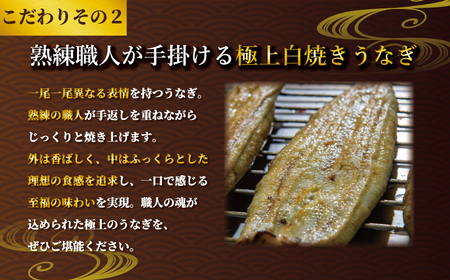 国産うなぎ 白焼き 2枚 約120g×2 定期便6回 うなぎ うなぎ うなぎ うなぎ うなぎ 石毛川魚店