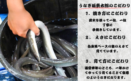 【訳あり】 国産 坂東太郎鰻の鰻蒲焼 小3枚