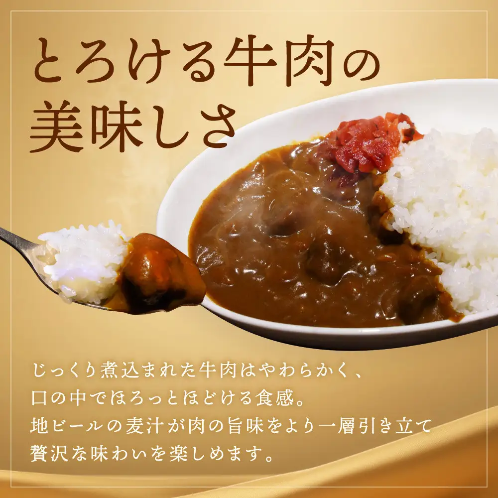 【黄桜】京都麦酒地ビールカレー（200ｇ×10個）| レトルト カレー 人気