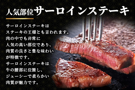佐賀牛Ａ５ランク 大還元祭！！総重量5.7キロ＋500ｇ肉の女王ヒレステーキとサーロインステーキ 【６回定期便】今だけ！佐賀牛ロース肉しゃぶしゃぶ用500ｇ付き W-9
