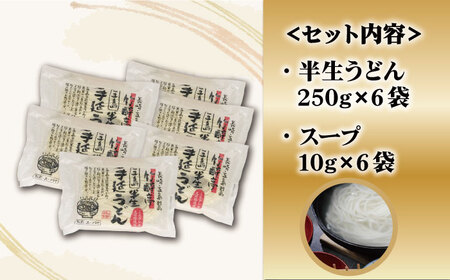 【全12回定期便】五島うどん 半生うどんセット / 五島うどん[RAM015] うどん 五島うどん 麺 うどん 五島うどん 麺 うどん 五島うどん 麺九州 長崎