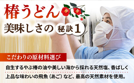 椿うどん300g×10袋 五島うどん 保存食 五島うどん 手延 椿 つばき 麺 乾麺 コシ 手作り 小分け 大容量 保存食[RAO013] うどん 五島うどん 麺 うどん 五島うどん 麺九州 長崎 