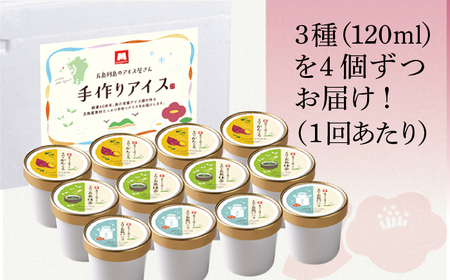 【全3回定期便】アイス3種 計12個[RAX017] アイス スイーツ お菓子 定期便 アイス スイーツ お菓子 定期便 アイス スイーツ お菓子 定期便九州 長崎