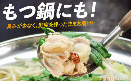 【全3回定期便】 【脂が甘くてぷりっぷり！】佐賀牛ホルモン 焼肉用 小腸 計1.5kg（250g/袋）味付けなし 吉野ヶ里町/やきとり紋次郎[FCJ091]