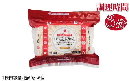 【全6回定期便】冷凍五島うどん ミニ6食×6袋[RAX039] 五島うどん うどん 定期便 五島うどん うどん 定期便 五島うどん うどん 定期便 五島うどん うどん 定期便九州 長崎