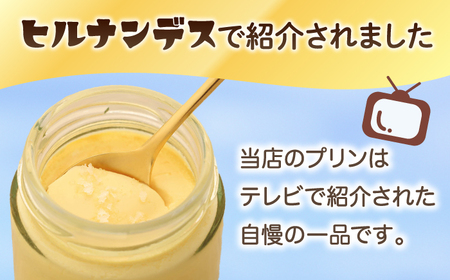 【全6回定期便】ごとうで食べる塩プリン6個 椿スプーン付き[RBA049] プリン スイーツ 塩 定期便 プリン スイーツ 塩 定期便 プリン スイーツ 塩 定期便 プリン スイーツ 塩 定期便九州 長崎