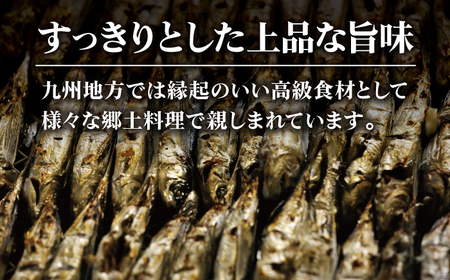 【年4回定期便】3ヶ月に1回お届け 焼きあご 100g×6袋[RBC006] だし 出汁 あごだし 定期便 だし 出汁 あごだし 定期便 だし 出汁 あごだし 定期便九州 長崎