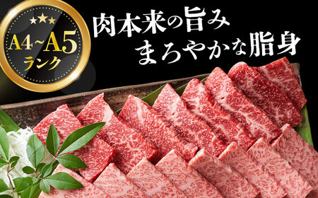 焼肉用 A4-A5 長崎和牛 焼肉用 500g   [DBS001]