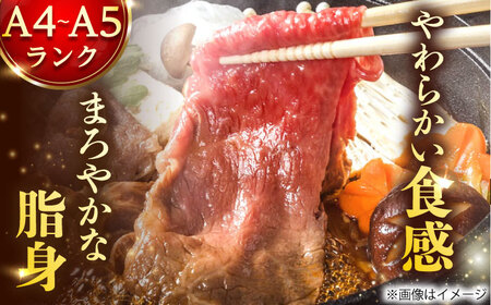 【12回定期便】 A4-A5 長崎和牛 切り落とし 500g [DBS052]