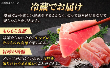【冷蔵だから人気！】生本マグロ 赤身 中トロ 計約500g [RBP003] 