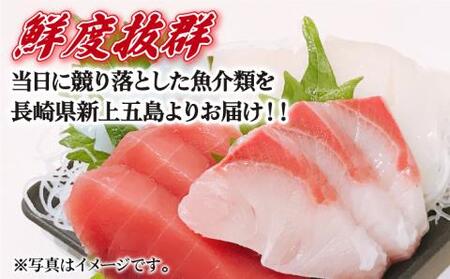 五島列島お刺身地魚柵セット 4?5人前[RBP058] 刺身 鮮魚 刺身 鮮魚 刺身 鮮魚 刺身 鮮魚 刺身 鮮魚 刺身 鮮魚 刺身 鮮魚九州 長崎
