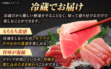 【全12回定期便】五島列島産養殖生本かみまぐろ 赤身 中トロ 計約700g[RBP069] 本マグロ 本まぐろ 定期便 本マグロ 本まぐろ 定期便 本マグロ 本まぐろ 定期便九州 長崎