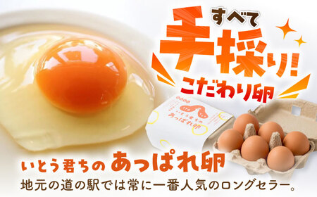 あっぱれ卵20個・卵かけ醤油「たましょー」セット /いとう養鶏場 [UAQ007] 卵 たまご 鶏卵 しょうゆ