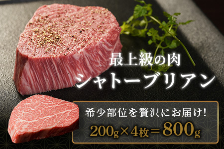 佐賀牛 最高級部位『シャトーブリアン』800ｇ（200ｇ×４枚）N-19