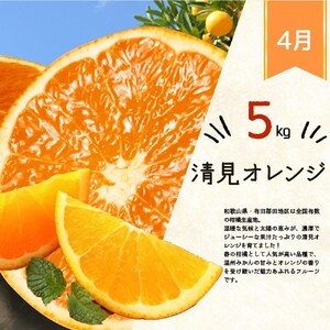 【全3回】紀州和歌山産旬のフルーツ定期便 (みかん・清見オレンジ・桃)【tkb381】