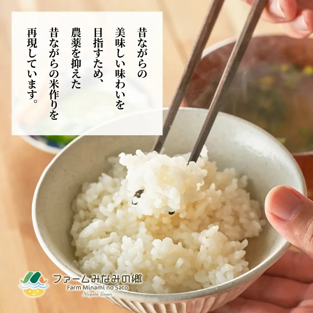令和7年産 特別栽培米コシヒカリ 南郷米 10kg（5kg×2袋）