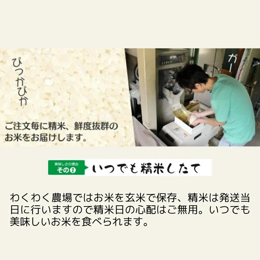 令和7年度産 コシヒカリ5kg×1袋 新之助5kg×1袋 わくわく農場