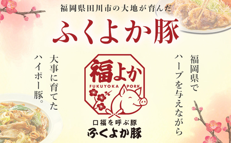 豚肉 切り落とし 3.0kg（300g×10パック） ふくよか豚肉