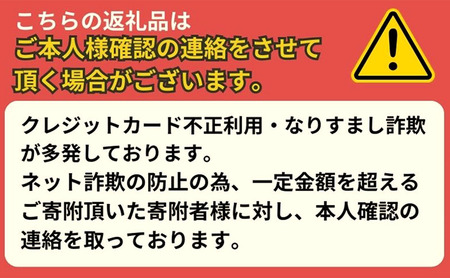 PHANTOM ROUND FUTURE パイゼル サーフボード サーフィン PYZEL
