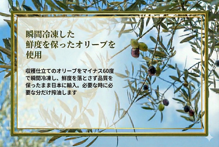 オリーブオイル エキストラバージン 140g × 2本セット 【オリーブオイル】