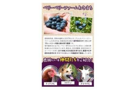 手作り ブルーベリージャム（140g×3個）ジャム