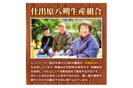 八朔 はっさく 約3kg