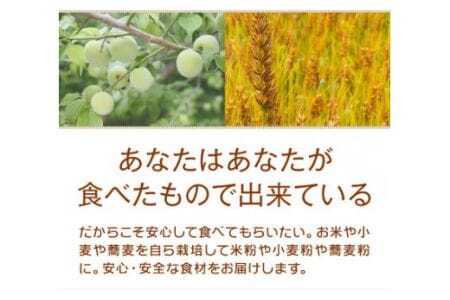 美馬市産 薄力粉 2.6kg お菓子