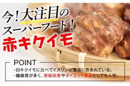 菊芋セット 合計300g アカイモ粉末 2袋 チップス 2袋