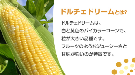 【 7月中旬発送開始 】 嬬恋産 とうもろこし ドルチェドリーム 約7kg（18～22本） [AT003tu]