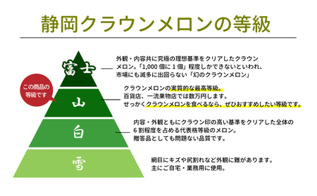 厳選 メロン クラウンメロン 山等級 1.4kg以上 2玉 フルーツ 果物 くだもの 高級フルーツ 高級果物 季節のフルーツ 季節の果物 旬のフルーツ 旬の果物 マスクメロン 青肉 めろん 静岡メロン 静岡 静岡県 浜松市 【配送不可：離島】