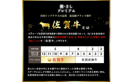 佐賀牛ヒレステーキ 2枚（計320g） / 牛肉 ブランド牛 / 佐賀県 / 佐嘉ZEYTAKUYA（豚八）[41AQAA005]