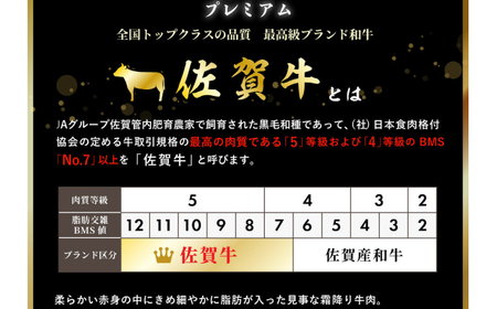 佐賀牛ヒレステーキ 計1kg（約200g×5枚）/ 牛肉 ブランド牛 / 佐賀県 / 佐嘉ZEYTAKUYA（株式会社丸宗ミート）[41AQAA017]