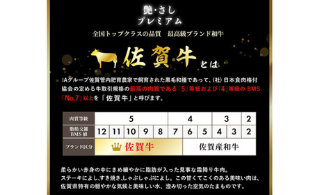 佐賀牛ヒレサイコロステーキ 400g / 牛肉 ブランド牛 / 佐賀県 / 佐嘉ZEYTAKUYA（やま田商店）[41AQAA027]