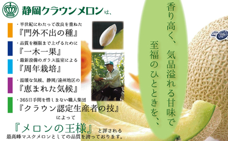 クラウンメロン『山等級』２玉詰【桐箱入】 果物類 メロン青肉 桐箱入り 