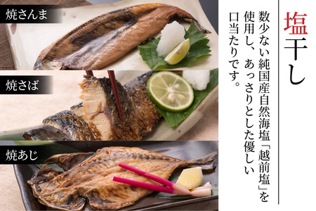【塩干し】丸ごと骨まで食べられる焼き魚 計3枚（3枚セット×1種）［A-088001_01］ 