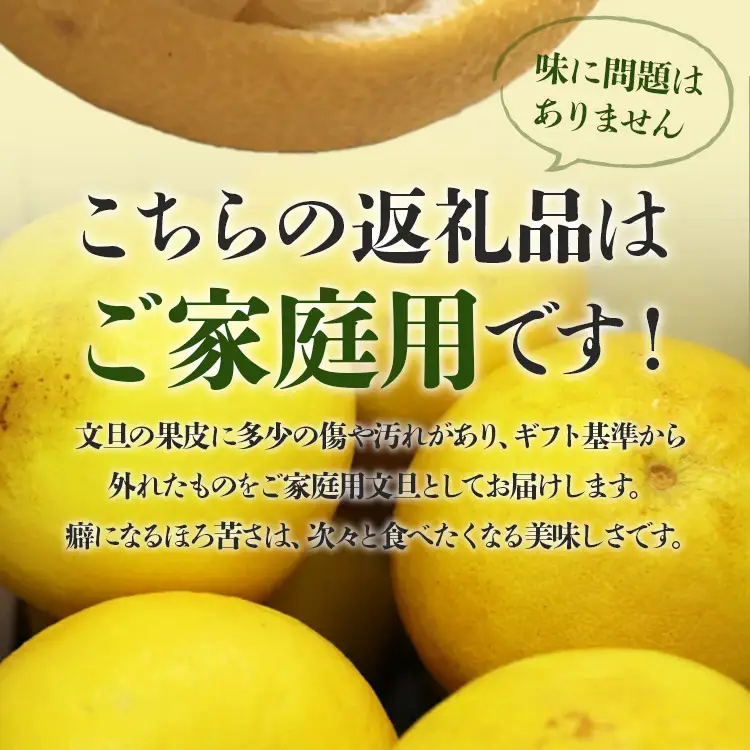 間城農園 土佐文旦 10kg 家庭用 文旦 ms-0095