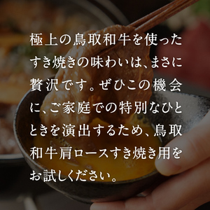定期便 鳥取和牛 肩ロースすき焼き・しゃぶしゃぶ 800g×12回 合計9.6kg HN60 【やまのおかげ屋】